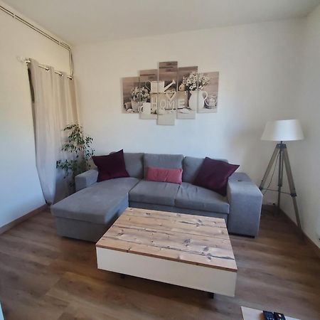 Appartement Lumineux En Centre-Ville Neuves-Maisons Εξωτερικό φωτογραφία